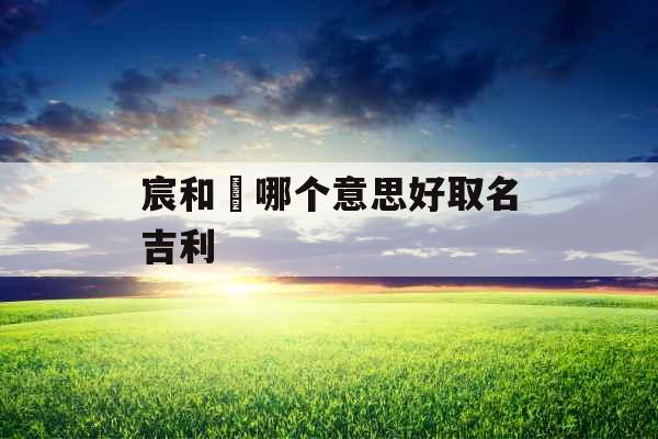 宸和莀哪个意思好取名吉利