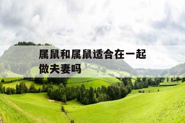 属鼠和属鼠适合在一起做夫妻吗