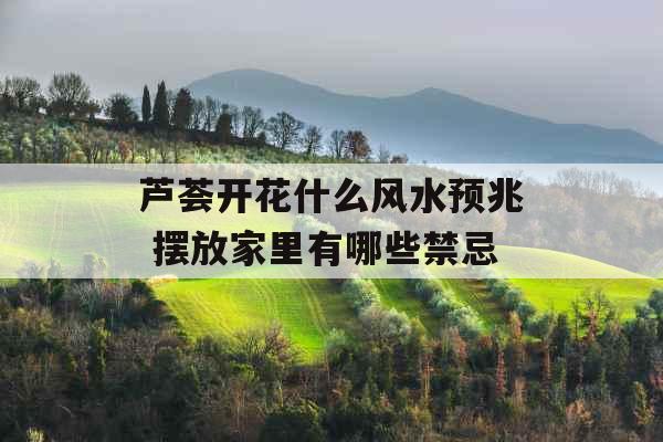 芦荟开花什么风水预兆 摆放家里有哪些禁忌