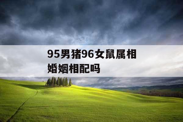 95男猪96女鼠属相婚姻相配吗