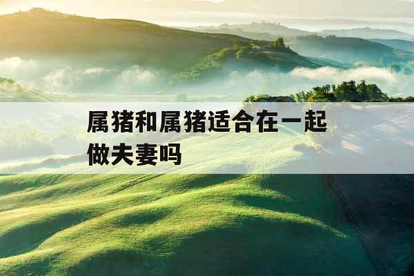 属猪和属猪适合在一起做夫妻吗