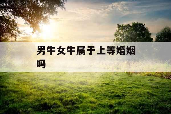 男牛女牛属于上等婚姻吗