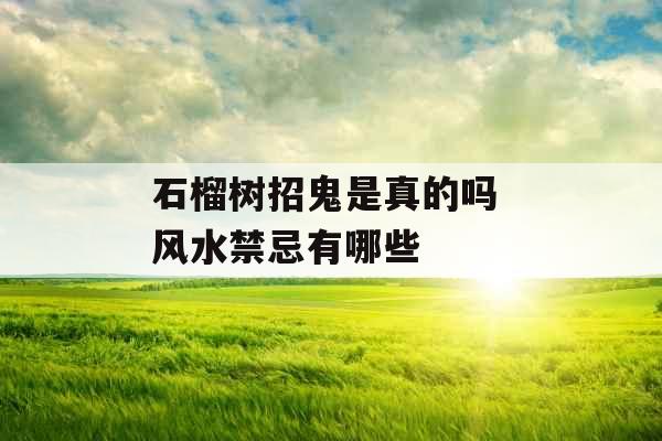 石榴树招鬼是真的吗 风水禁忌有哪些