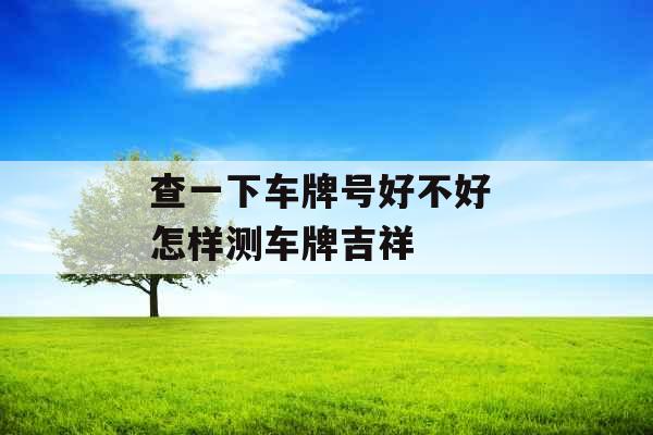 查一下车牌号好不好 怎样测车牌吉祥