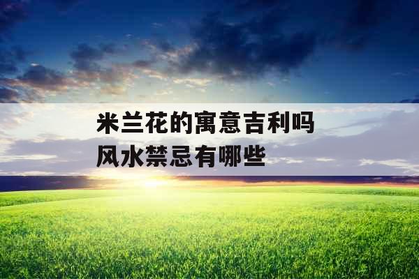 米兰花的寓意吉利吗 风水禁忌有哪些 米兰花的寓意吉利吗 风水禁忌有哪些