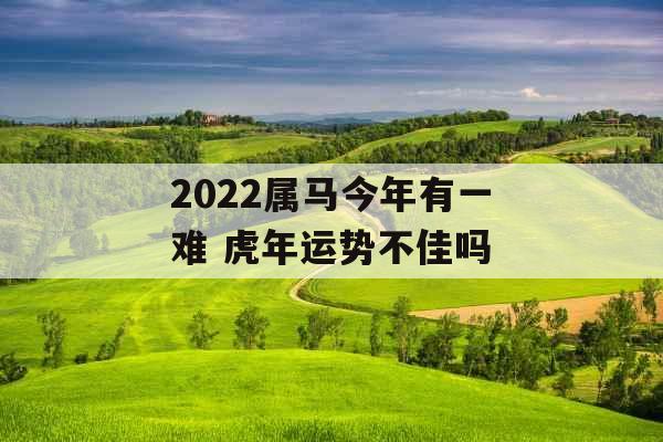 2022属马今年有一难 虎年运势不佳吗