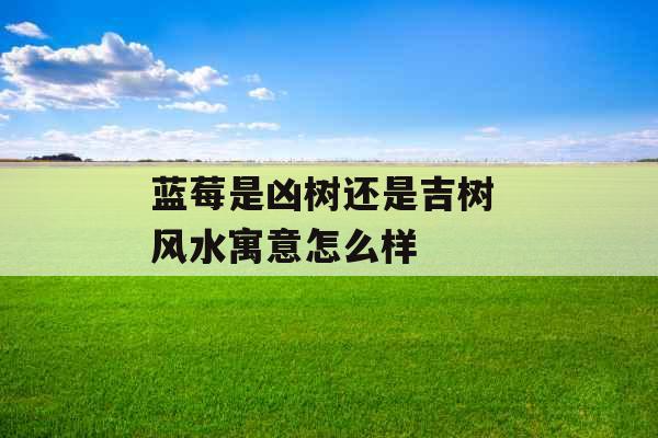 蓝莓是凶树还是吉树 风水寓意怎么样