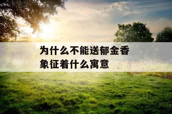 为什么不能送郁金香 象征着什么寓意