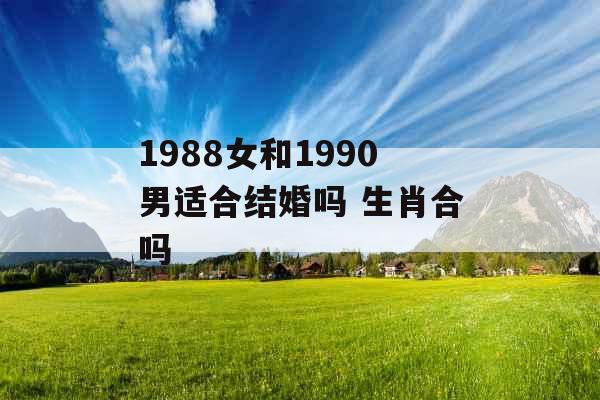 1988女和1990男适合结婚吗 生肖合吗