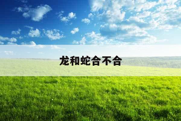 龙和蛇合不合