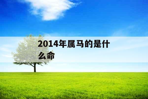 2014年属马的是什么命