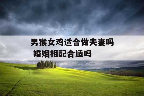 男猴女鸡适合做夫妻吗 婚姻相配合适吗 男猴女鸡适合做夫妻吗 婚姻相配合适吗