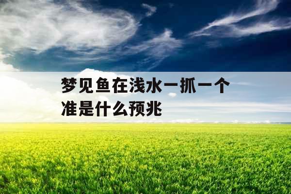 梦见鱼在浅水一抓一个准是什么预兆