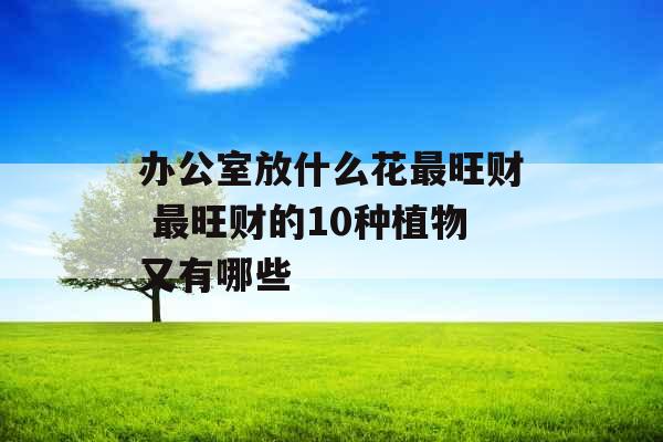 办公室放什么花最旺财 最旺财的10种植物又有哪些