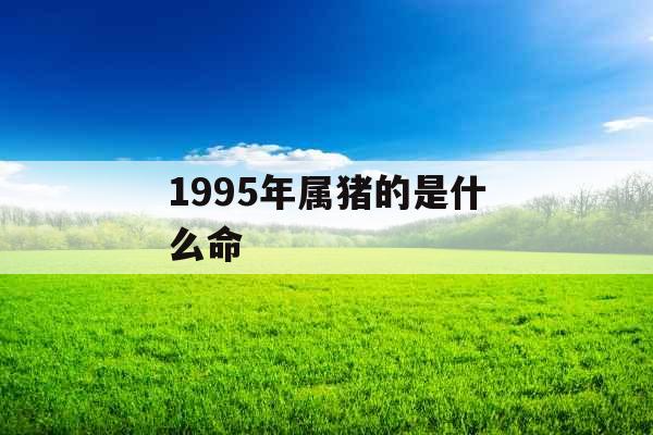 1995年属猪的是什么命