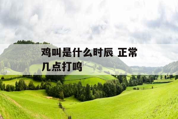 鸡叫是什么时辰 正常几点打鸣