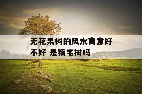 无花果树的风水寓意好不好 是镇宅树吗