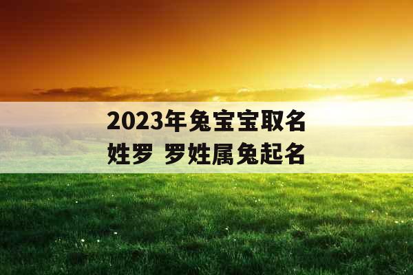 2023年兔宝宝取名姓罗 罗姓属兔起名