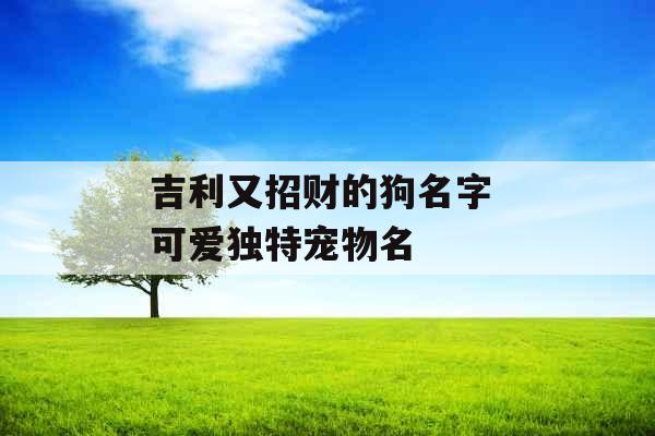 吉利又招财的狗名字 可爱独特宠物名