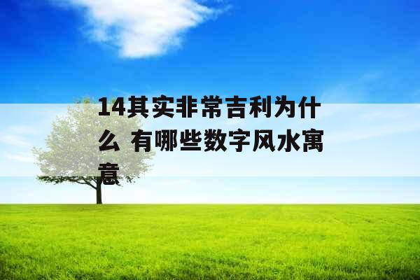 14其实非常吉利为什么 有哪些数字风水寓意