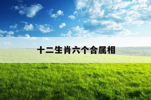 十二生肖六个合属相