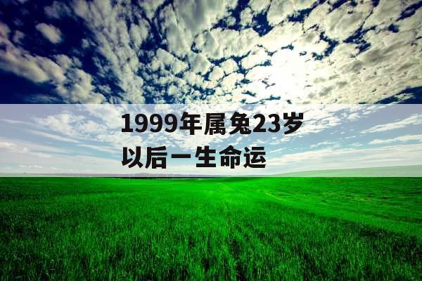 1999年属兔23岁以后一生命运