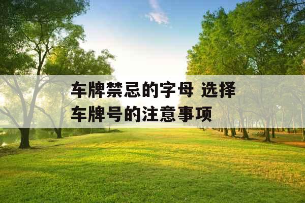 车牌禁忌的字母 选择车牌号的注意事项