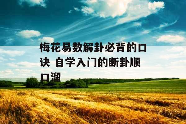 梅花易数解卦必背的口诀 自学入门的断卦顺口溜