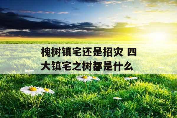 槐树镇宅还是招灾 四大镇宅之树都是什么 槐树镇宅还是招灾 四大镇宅之树都是什么