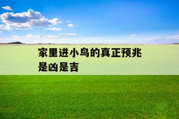 家里进小鸟的真正预兆是凶是吉 家里进小鸟的真正预兆是凶是吉