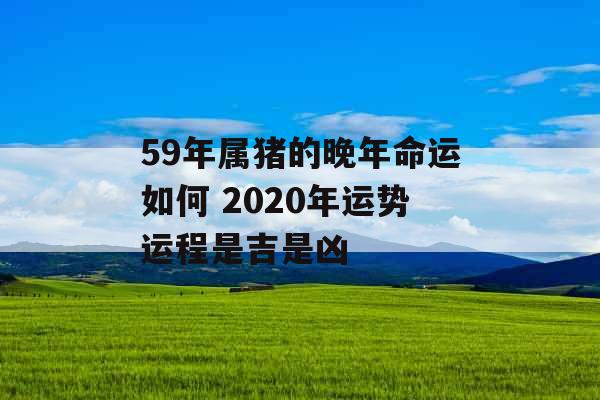 59年属猪的晚年命运如何 2020年运势运程是吉是凶