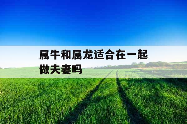 属牛和属龙适合在一起做夫妻吗