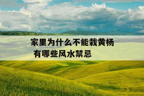 家里为什么不能栽黄杨 有哪些风水禁忌