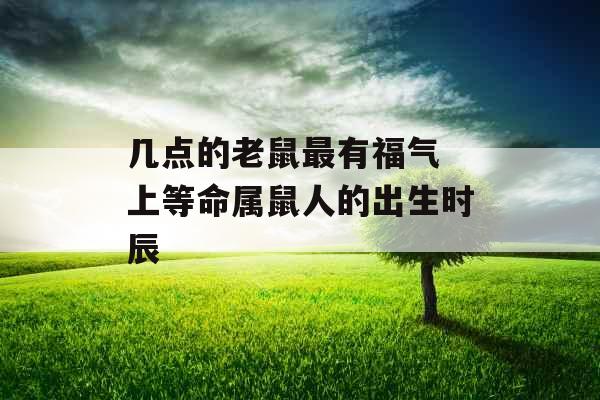 几点的老鼠最有福气 上等命属鼠人的出生时辰