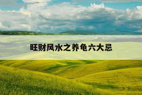 旺财风水之养龟六大忌