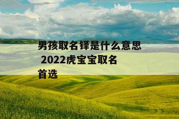 男孩取名铎是什么意思 2022虎宝宝取名首选