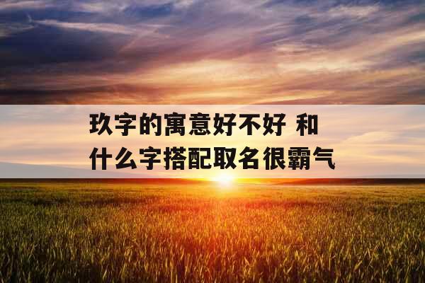 玖字的寓意好不好 和什么字搭配取名很霸气