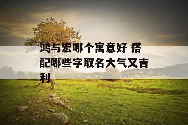 鸿与宏哪个寓意好 搭配哪些字取名大气又吉利 鸿与宏哪个寓意好 搭配哪些字取名大气又吉利