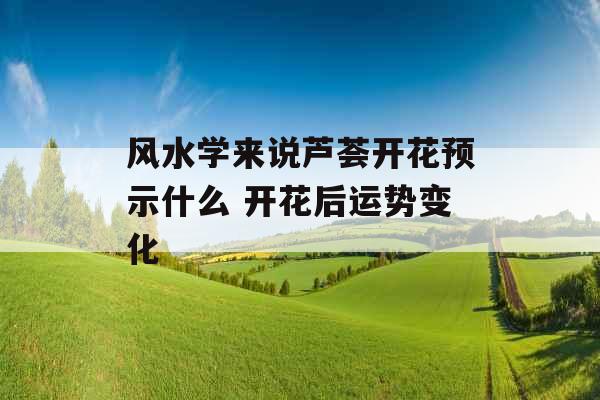 风水学来说芦荟开花预示什么 开花后运势变化