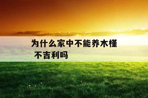 为什么家中不能养木槿 不吉利吗
