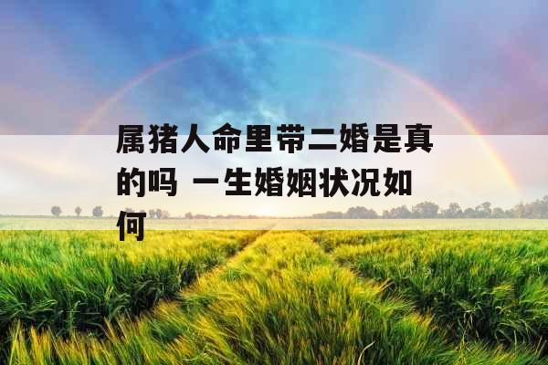 属猪人命里带二婚是真的吗 一生婚姻状况如何