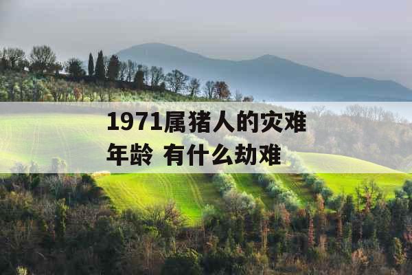 1971属猪人的灾难年龄 有什么劫难 1971属猪人的灾难年龄 有什么劫难