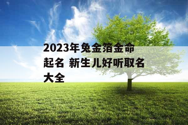 2023年兔金箔金命起名 新生儿好听取名大全 2023年兔金箔金命起名 新生儿好听取名大全