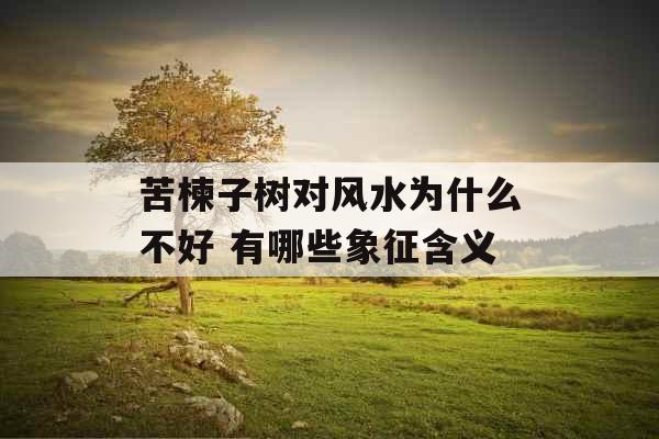 苦楝子树对风水为什么不好 有哪些象征含义