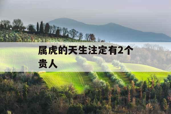 属虎的天生注定有2个贵人