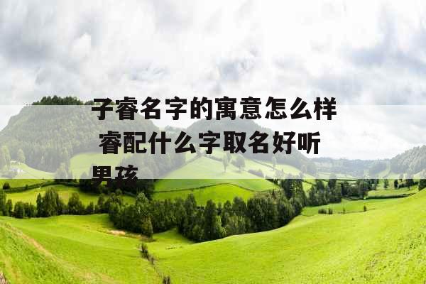 子睿名字的寓意怎么样 睿配什么字取名好听男孩