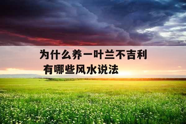 为什么养一叶兰不吉利 有哪些风水说法