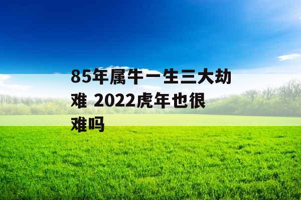 85年属牛一生三大劫难 2022虎年也很难吗