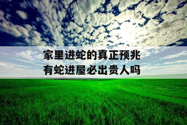 家里进蛇的真正预兆 有蛇进屋必出贵人吗