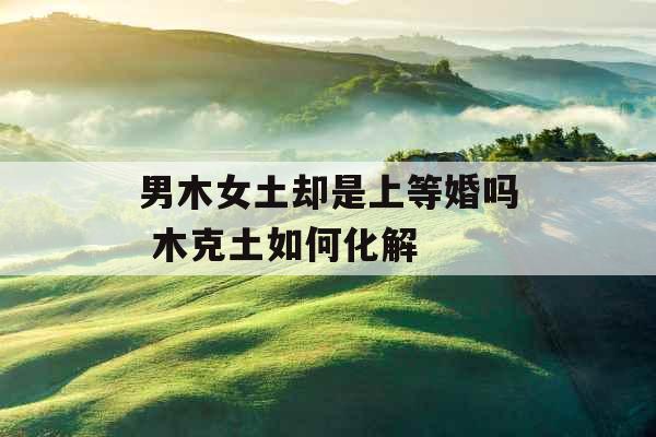 男木女土却是上等婚吗 木克土如何化解 男木女土却是上等婚吗 木克土如何化解